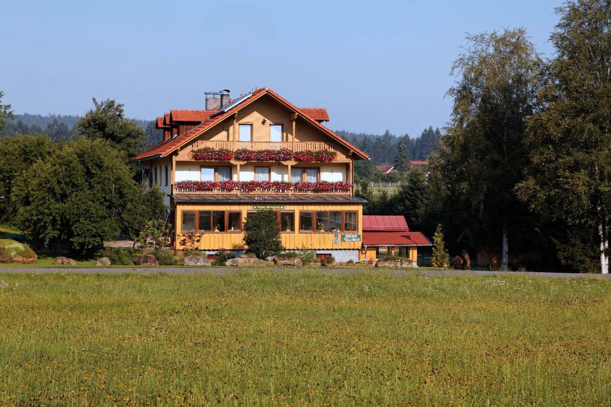 Pension Wiesengrund Neuschönau Esterno foto