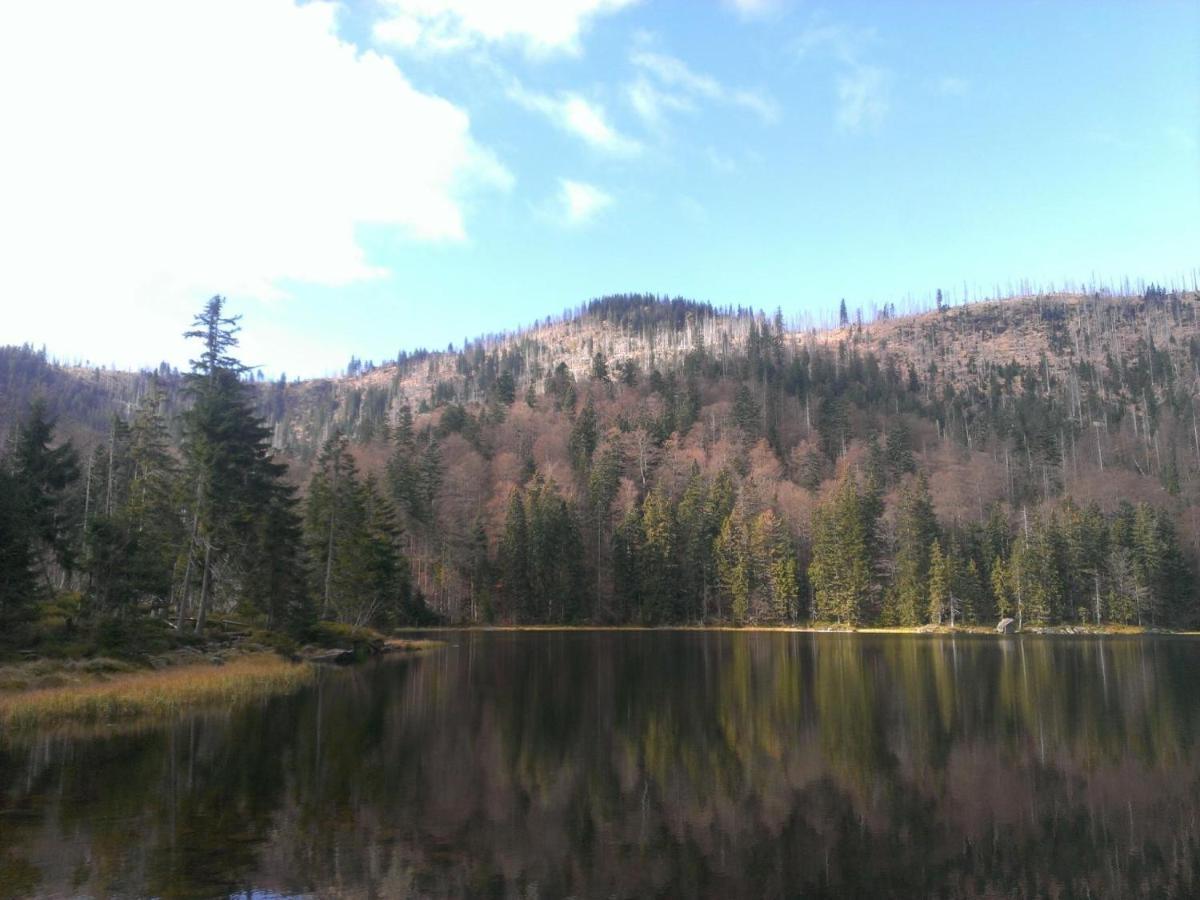 Pension Wiesengrund Neuschönau Esterno foto