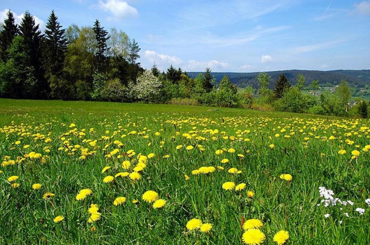 Pension Wiesengrund Neuschönau Esterno foto