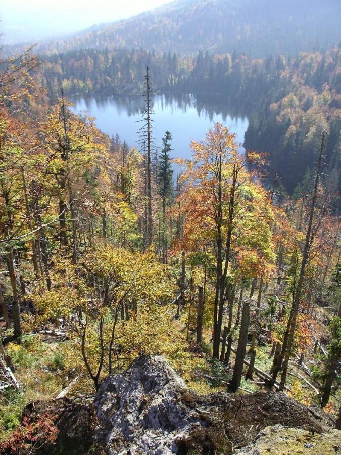 Pension Wiesengrund Neuschönau Esterno foto