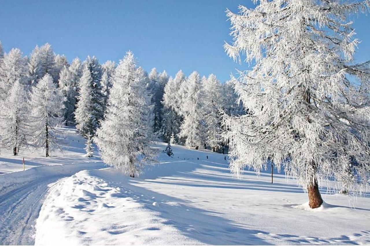 Pension Wiesengrund Neuschönau Esterno foto